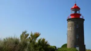 hoe streamingdiensten onze kijkgewoonten stiekem herprogrammeren
